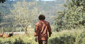 Картинка кино+фильмы pushpa +the+rise мужчина рубашка роща