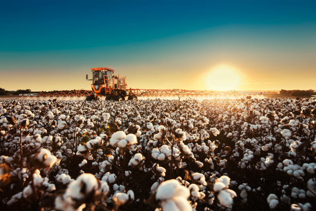 Обои картинки фото техника, распылители, jacto