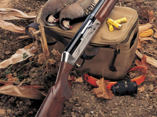 обоя benelli, raffaello, legacy, оружие, винтовкиружьямушкетывинчестеры