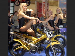 Картинка мотоциклы мото девушкой