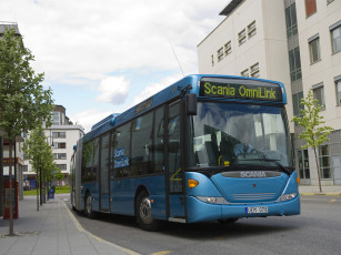 Картинка автомобили автобусы