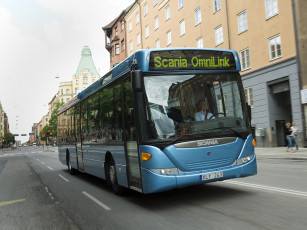 Картинка автомобили автобусы