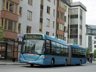 Картинка автомобили автобусы