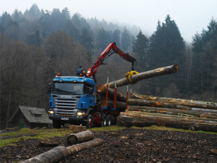 Картинка автомобили scania