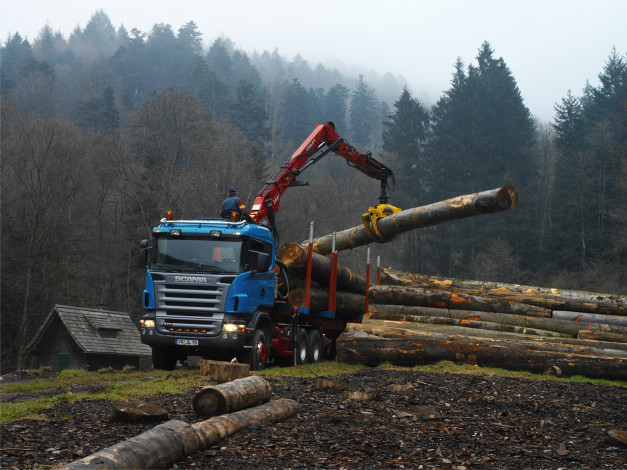 Обои картинки фото автомобили, scania