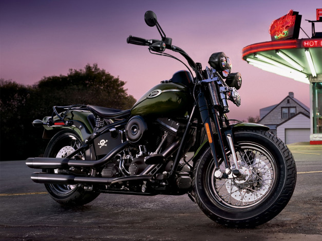 Обои картинки фото мотоциклы, harley, davidson