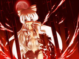 Картинка аниме touhou фудзивара но моко