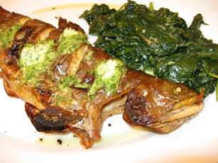 Картинка автор varvarra еда рыбные блюда морепродуктами форель шпинат соус