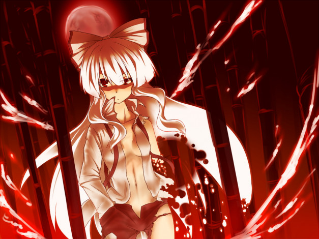 Обои картинки фото аниме, touhou, фудзивара, но, моко