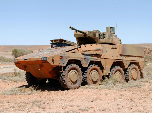 Обои картинки фото техника, военная, boxer