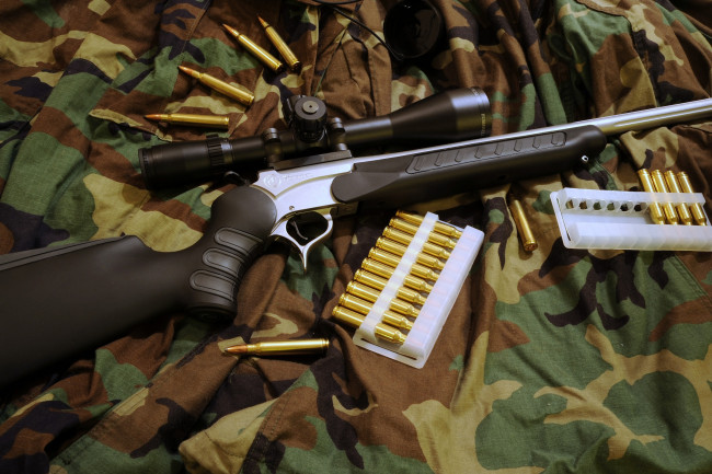 Обои картинки фото оружие, винтовки, прицеломприцелы, пули, прицел