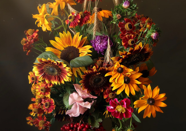 Обои картинки фото цветы, букеты,  композиции, подсолнух, рудбекия, астры