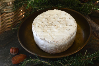 Картинка cal+pujolet+blau еда сырные+изделия сыр