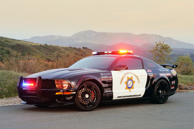 Обои картинки фото автомобили, полиция, saleen