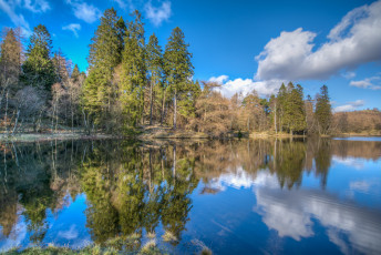 Картинка природа реки озера лес река