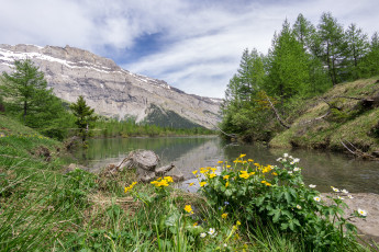 Картинка природа реки озера лес река