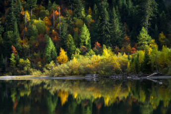 Картинка природа реки озера лес река