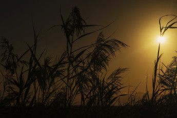 Картинка природа восходы закаты рассвет