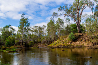 Картинка природа реки озера лес река