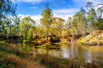 Картинка природа реки озера лес река