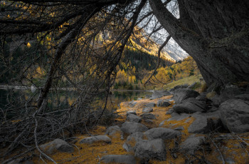 Картинка природа реки озера лес река