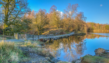 Картинка природа реки озера лес река