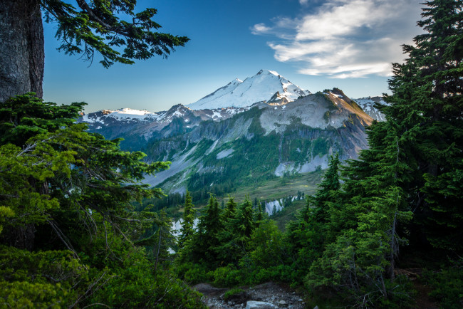 Обои картинки фото природа, реки, озера, лес, река