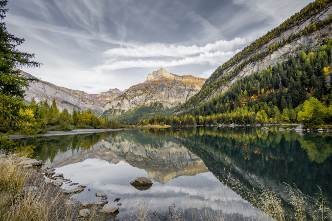 Обои картинки фото природа, реки, озера, лес, река