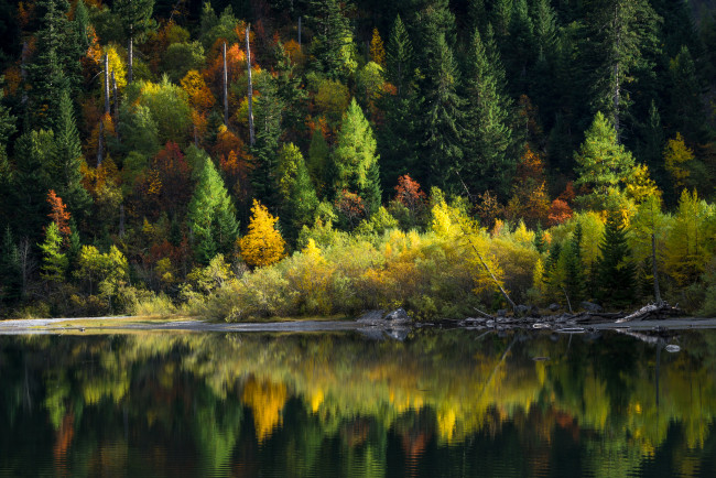 Обои картинки фото природа, реки, озера, лес, река