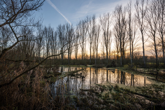 Обои картинки фото природа, реки, озера, лес, река