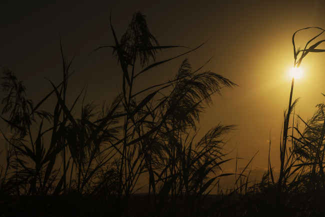 Обои картинки фото природа, восходы, закаты, рассвет