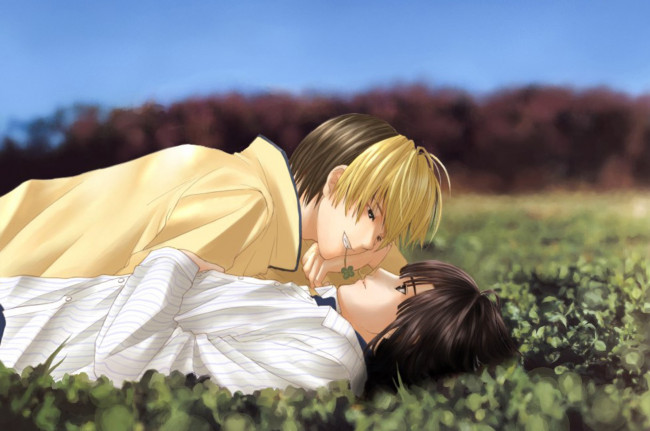 Обои картинки фото hikaru no go, аниме, парни, лужайка