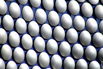 Картинка разное текстуры круги