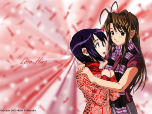 Картинка аниме love hina