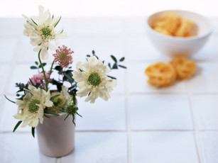 Картинка цветы букеты композиции