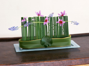 Картинка цветы букеты композиции