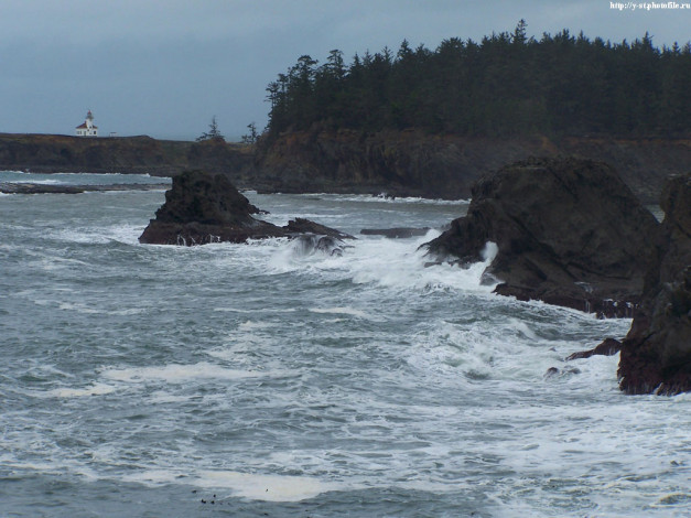 Обои картинки фото 