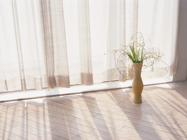 Обои картинки фото цветы