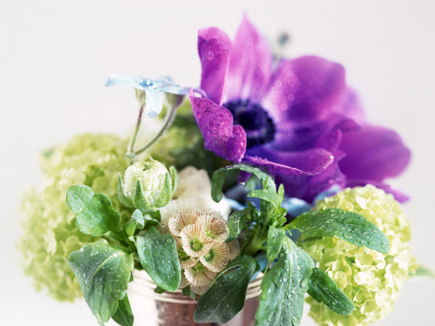 Обои картинки фото цветы, букеты, композиции