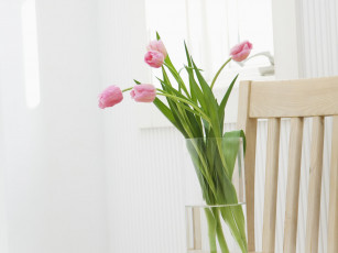 Картинка цветы тюльпаны