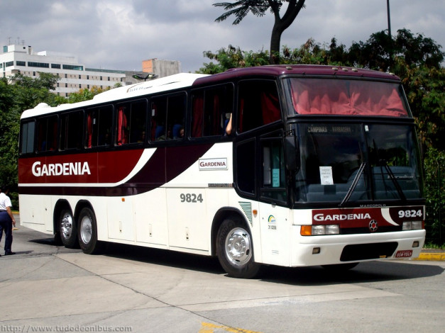 Обои картинки фото автомобили, автобусы