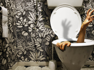 Картинка юмор приколы толчек унитаз рука туалет