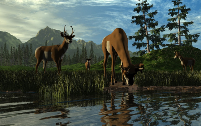 Обои картинки фото 3д, графика, animals, животные