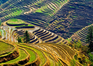 Картинка природа поля пейзаж