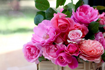 Картинка цветы розы корзинка лепестки