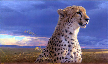 Картинка daniel smith african tempest рисованные арт гепард