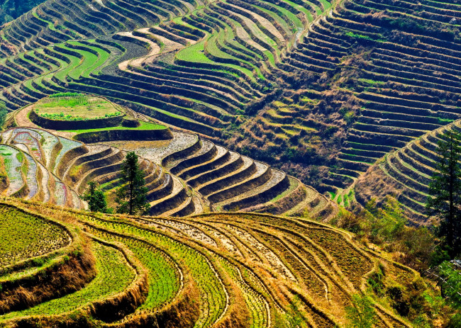 Обои картинки фото природа, поля, пейзаж