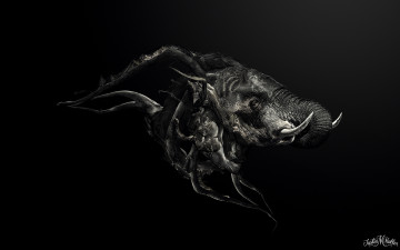 Картинка 3д+графика animals+ животные фон слон