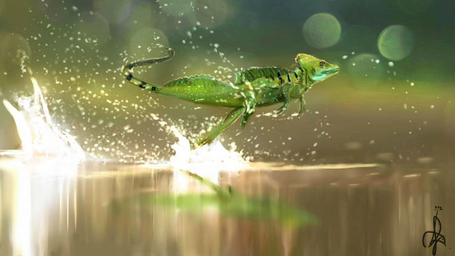 Обои картинки фото рисованные, животные,  ящерицы, ящерица, бег, брызги