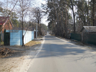 Картинка лесная+буча +киевская+обл природа дороги лесная буча киев дорога посёлок сосны